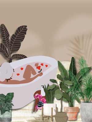 Home Paradise 2