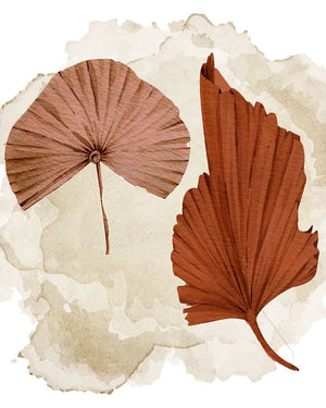 Fan 2