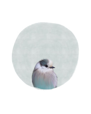 Baby Circle Bird