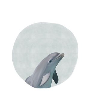 Baby Dolphin Circle