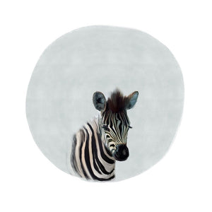 Baby Zebra Gray
