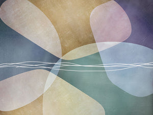 Colorful Organic Shapes 1