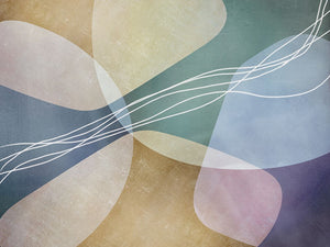 Colorful Organic Shapes 2
