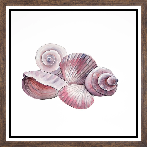 SEASIDE SHELLS