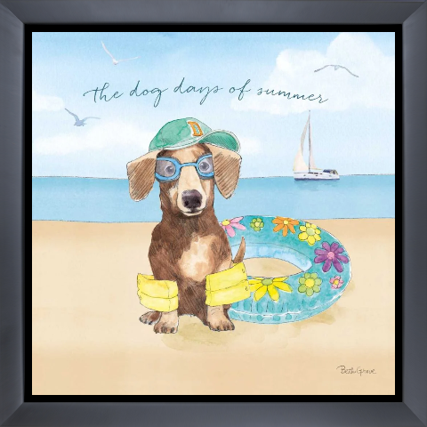 Summer Paws III