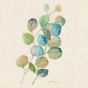 Eucalyptus I