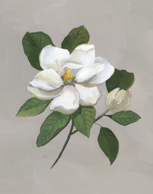 Botanical Magnolia