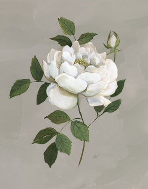 Botanical Rose