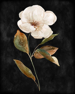Botanical on Black Wash I