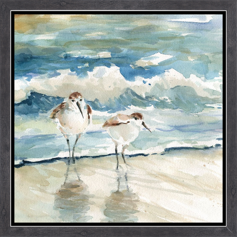 Beach Birds