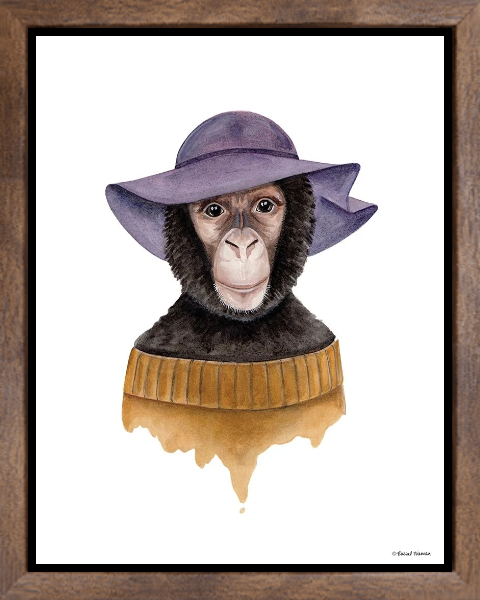 Cozy Chimp