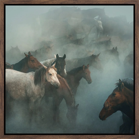 Lost Horses