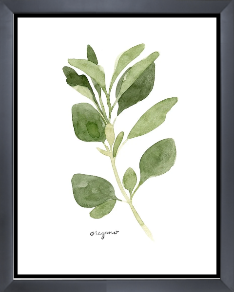 Herb Garden Sketches III