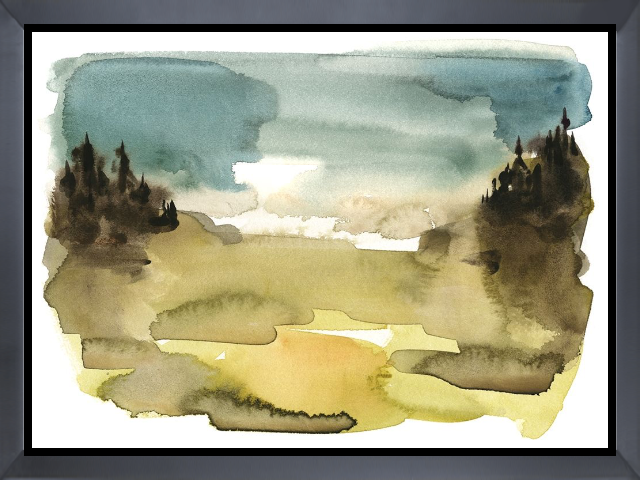 Alpine Wetlands I