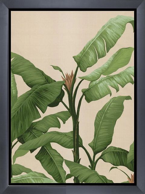 Panama II