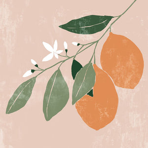 Orange Branch II