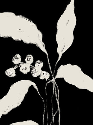 New Growth II