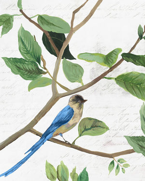 Spring Bird II
