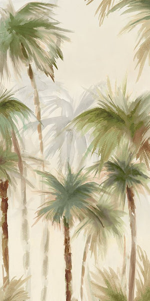 Forest of Palms II