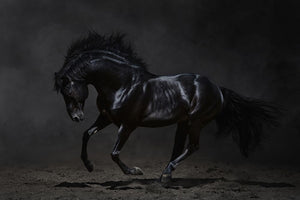 Onyx