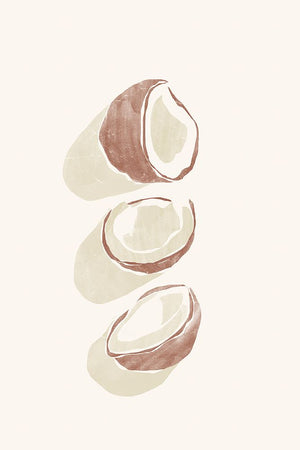 Tropical Coconuts