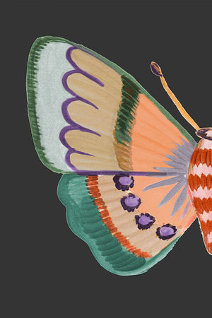 Boho Butterfly on Black I