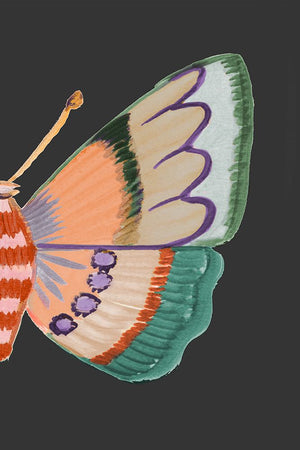 Boho Butterfly on Black II