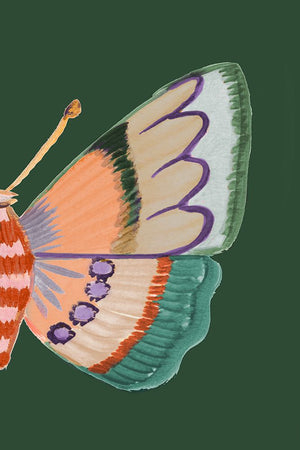 Boho Butterfly on Green II