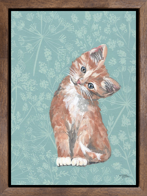 Moxie the Kitten