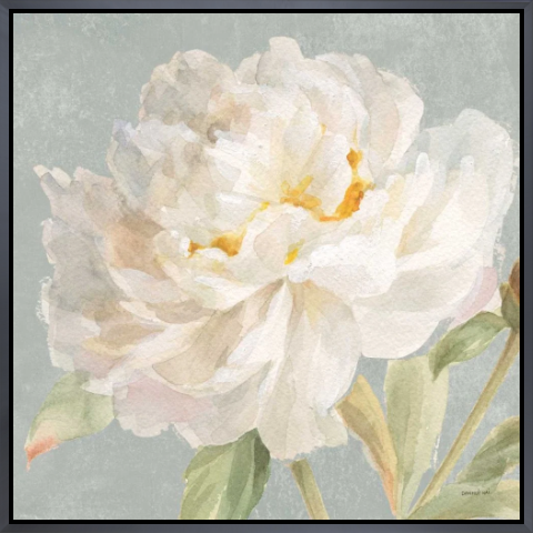 Garden Peony Neutral Crop