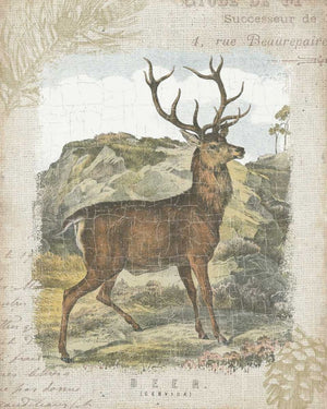 Woodland Stag I