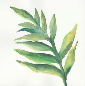 Tropical Palm I