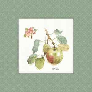 Orchard Bloom I Border