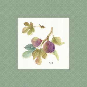 Orchard Bloom III Border
