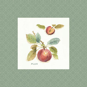 Orchard Bloom IV Border