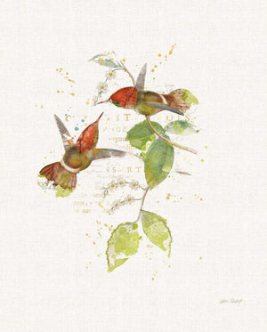 Colorful Hummingbirds II