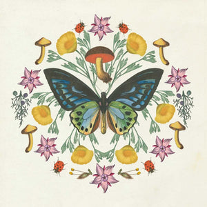 Butterfly Mandala IV
