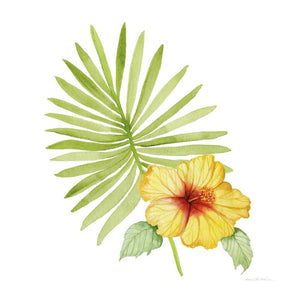 Treasures of the Tropics XI