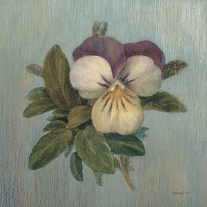 Cottage Violet