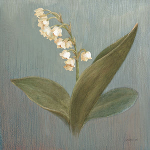 Cottage Lily of the Valley