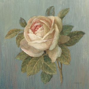 Cottage Rose