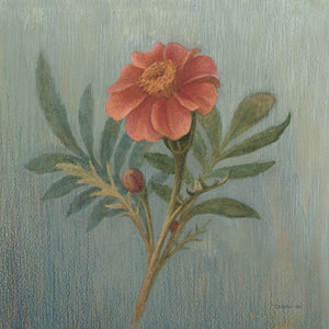 Cottage Zinnia