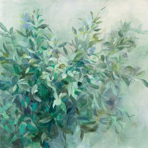 Bay Laurel