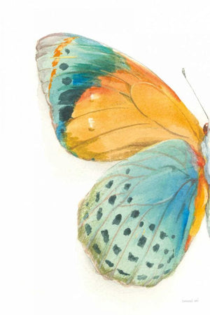 Fragile Wings I