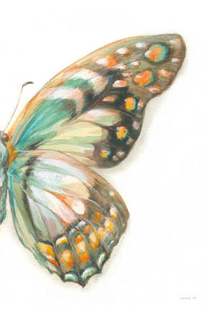 Fragile Wings II