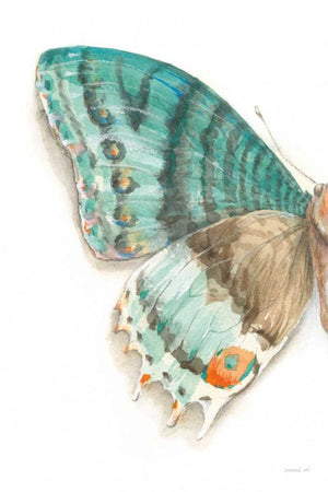 Fragile Wings III