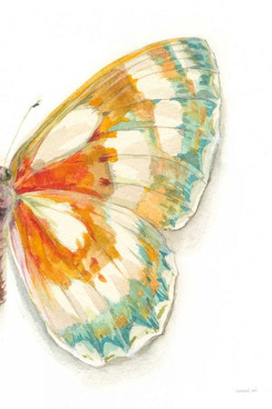 Fragile Wings IV