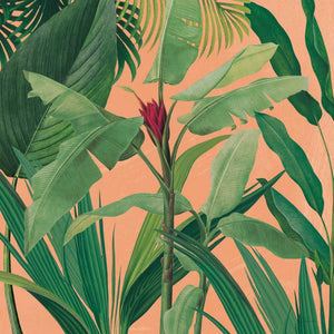 Dramatic Tropical I Boho