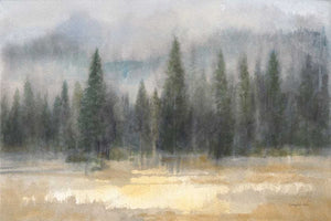 Misty Pines