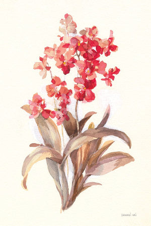 Autumn Orchid I
